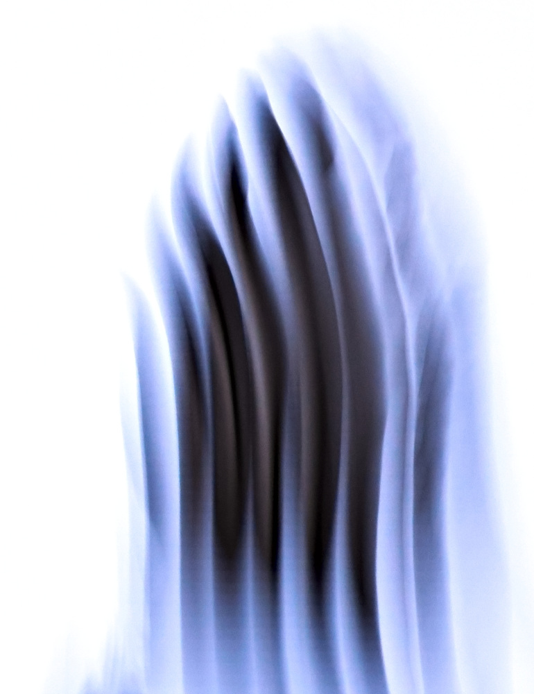 joao-pompeu_biosphere_abstract-wing