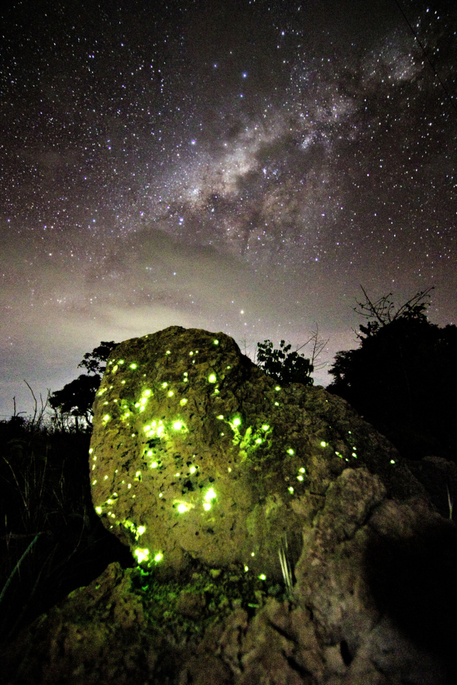 joao-pompeu_biosphere_bioluminescencia-parque-das-emas