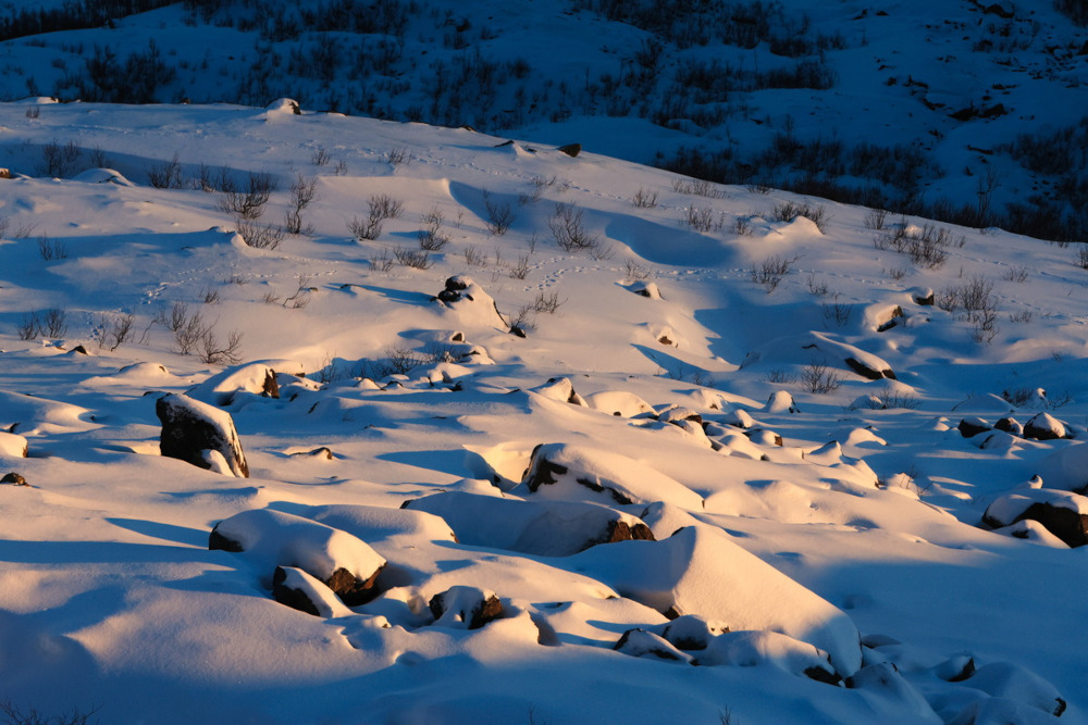 joao-pompeu_cryosphere_sunny-snow-detail