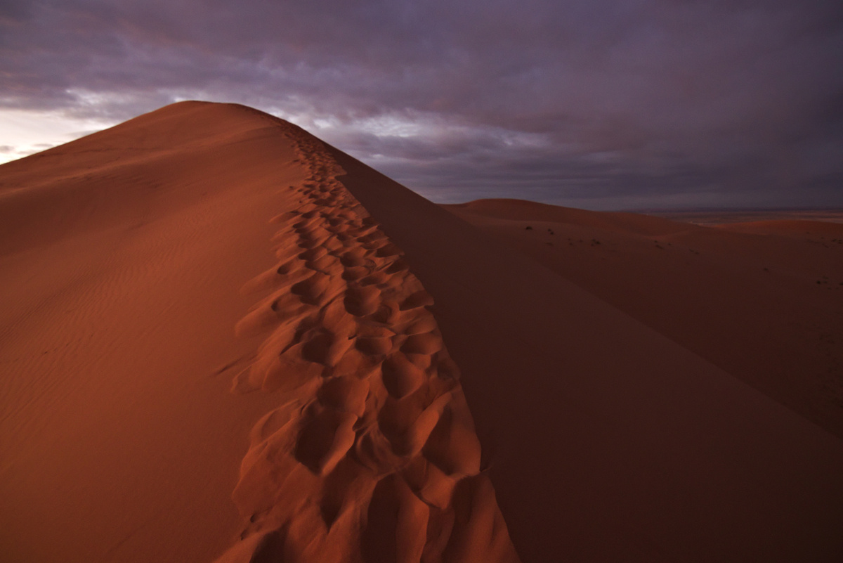 joao-pompeu_geosphere_sahara